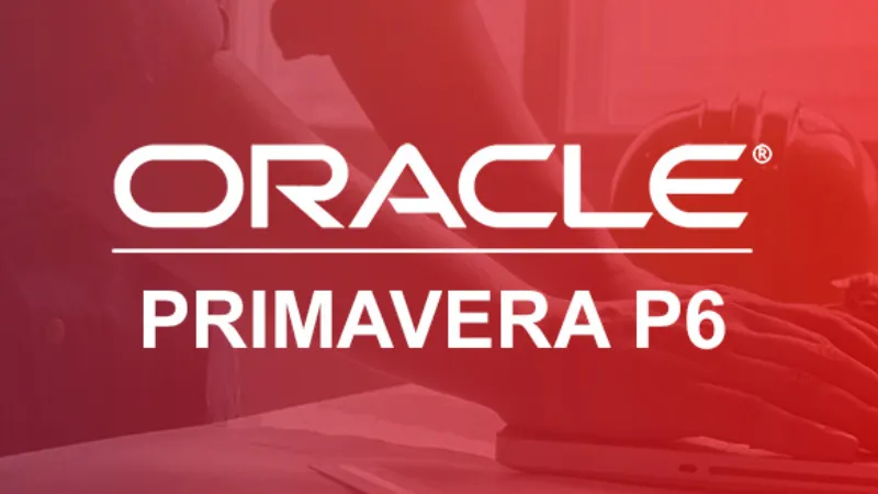 All you wanted to know about Primavera P6