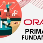 oracle primavera training course palium skills