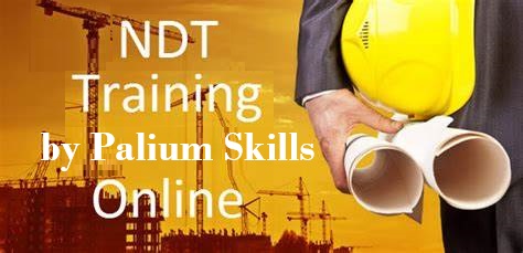 Online Non Destructive Training Program at Palium